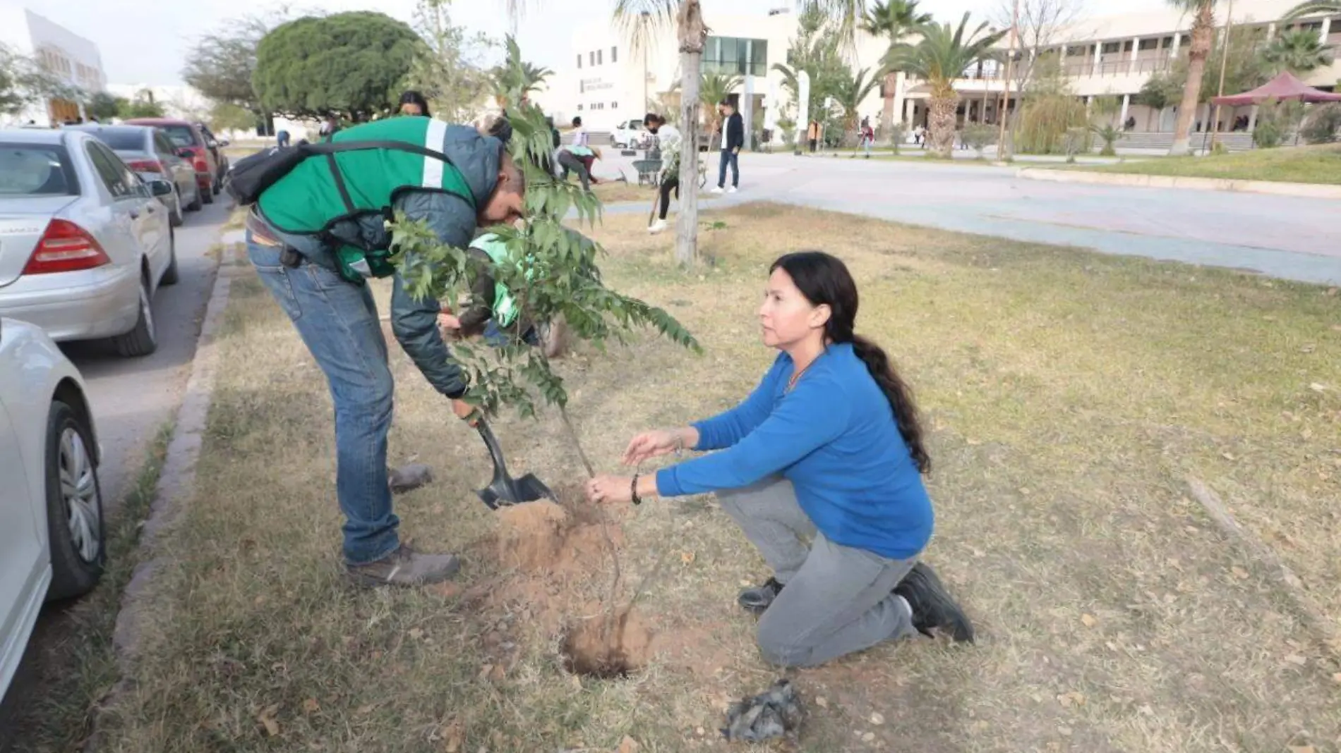 reforestación-Torreón (1)